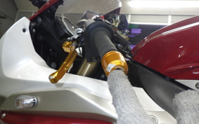 SUZUKI GSX-R1000 2009