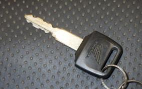 HONDA VT250 SPADA 1999 MC20