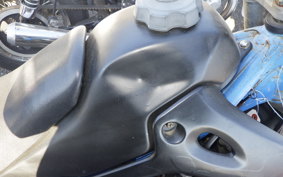 KAWASAKI KDX250SR 2019 DX250F