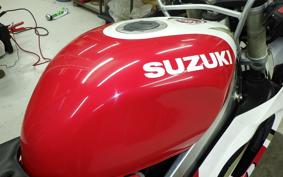 SUZUKI RGV250 Gamma Gen.3 2013 VJ23A