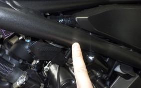 HONDA REBEL 250 S MC49