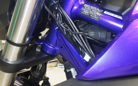 YAMAHA MT-25 2024 RG43J