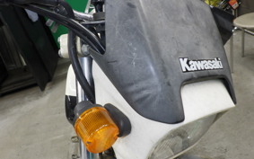 KAWASAKI SUPER SHERPA 2026 KL250G