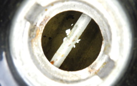 HONDA ROAD FOX 2001 TB10