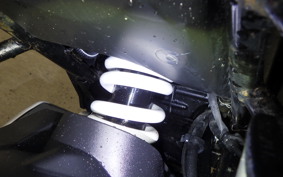 SUZUKI GIXXER 250 SF
