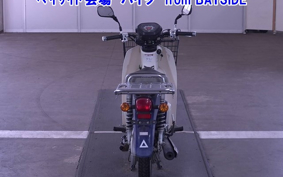 OTHER C110PU LOW 3