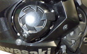 KAWASAKI NINJA 1000 A 2015