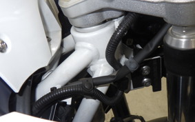 BMW R1250GS 2022