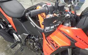 SUZUKI Vｽﾄﾛｰﾑ250SX 2002 EL11L