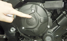 MV AGUSTA BRUTALE 800 DS RR 2019