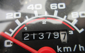 HONDA SUPER CUB50 C50