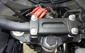 KAWASAKI VERSYS X250 A 2021 LE250D