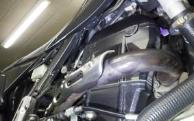 KAWASAKI KLX250D TRACKER X 2021 LX250V