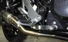SUZUKI V-STROM 250 2024