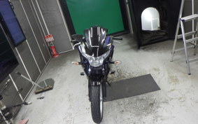 HONDA CBR250R GEN 3 MC41