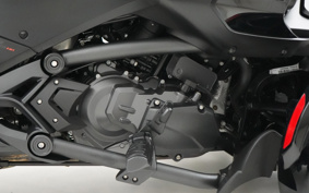 OTHER KANNAMUSPYDER F3-S 2022 RDD