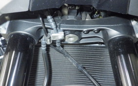 KAWASAKI ZH2 2020 ZRT00K