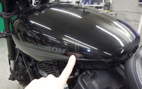HARLEY XG750 STREET ROD 2019