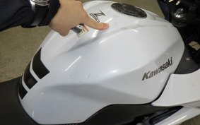 KAWASAKI Z250 ER250C
