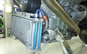 MOTO GUZZI SPORT 1100 1998