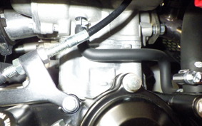 SUZUKI GSX-R125 DL33B
