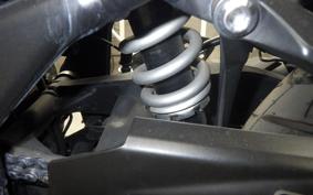 YAMAHA YZF-R25 2024 RG43J