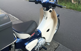 HONDA SUPER CUB110 JA44