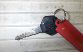 YAMAHA YZF-R25 A RG43J