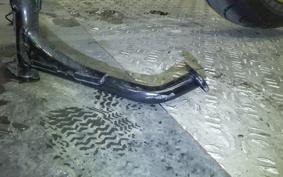 HONDA CB1300SF SUPER FOUR SP 2024 SC54