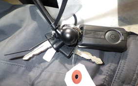 YAMAHA X-MAX 250 SG70J