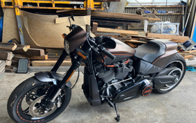 HARLEY HARLEY FXDRS 2019 YVK