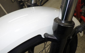 HONDA FTR223 2006 MC34