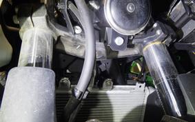 KAWASAKI NINJA 250 2022 EX250Y