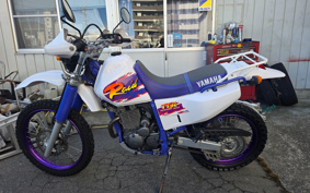 YAMAHA TT250RRAID 4GY