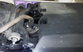 HONDA TACT Basket 2023 AF79