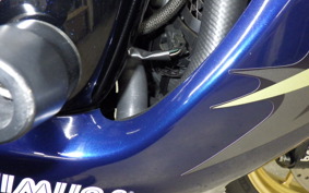 SUZUKI HAYABUSA Gen.2 2009
