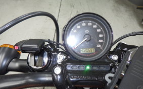 OTHER +HD. XL1200X 2019