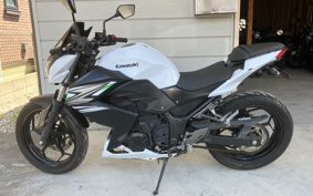 KAWASAKI Z250 ER250C