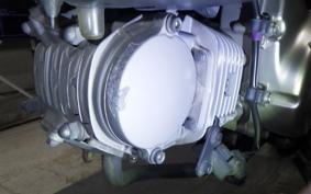 HONDA MONKEY 125 2024 JB02
