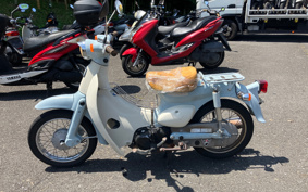 HONDA LITTLE CUB AA01