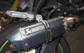 KAWASAKI NINJA 250R EX250K