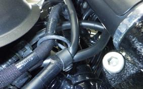 KAWASAKI W800-2ｽﾄﾘｰﾄ 2021 EJ800B