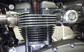 TRIUMPH SPEED TWIN 2024