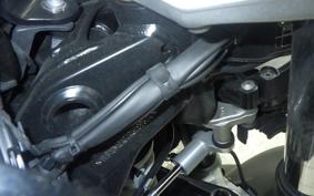 BMW R1300GS 2024