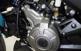 KAWASAKI Z125 PRO BR125H