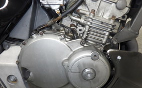 HONDA HORNET 250 2022 MC31