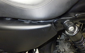 HARLEY XL883N 2010
