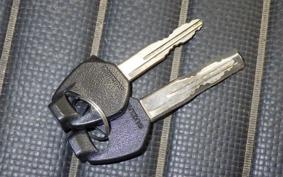 SUZUKI SKYWAVE 250 (Burgman 250) CJ42A