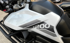 TRIUMPH TIGER 1200 RALLY PRO 2024 TAP20V