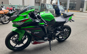 KAWASAKI NINJA ZX 25 R SE ZX250E